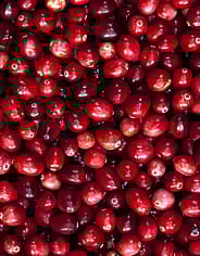 Miniaturebillede 3