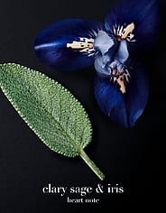 Miniaturebillede 11